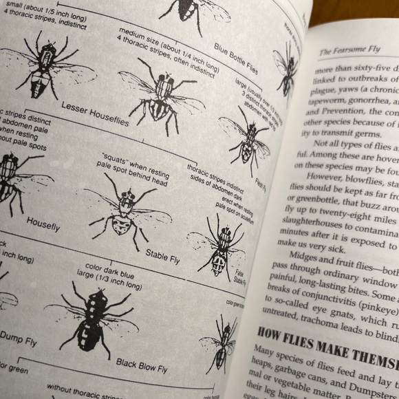 Bug Busters by Bernice Lifton. Poison Free Pest Control for House and Garden - Picture 7 of 9